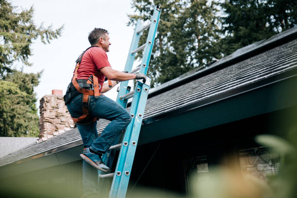 Best Metal Roofing Installation  in Juneau, AK